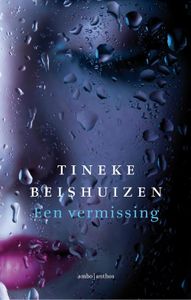 Een vermissing - Tineke Beishuizen - ebook