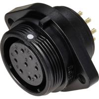 Weipu SP2113 / S 9 Ronde connector Bus, inbouw Totaal aantal polen: 9 Serie (ronde connectoren): SP21 1 stuk(s)