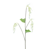 Zinnia elegans spray cream 60 cm kunstbloem Erutan Avon - Erutan avon