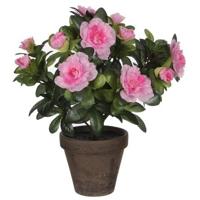 Mica Decorations Kunstplant - 1x - Azalea - groen/lichtroze - 27 cm - Met mooie bloemen