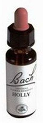 Alive BA15 Holly (50 ml)