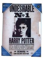 Harry Potter Glass Poster Undesirable No. 1 30 x 40 cm