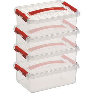 6x Opberg boxen/opbergdozen 4 liter 30 x 20 x 10 cm kunststof