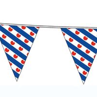 12x Friese vlag vlaggenlijnen van 10 meter   -