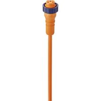 Lumberg Automation 11173 Sensor/actuator connector, geassembleerd 7/8 Aantal polen (sensoren): 2+PE Koppeling, recht 2.00 m 1 stuk(s) - thumbnail