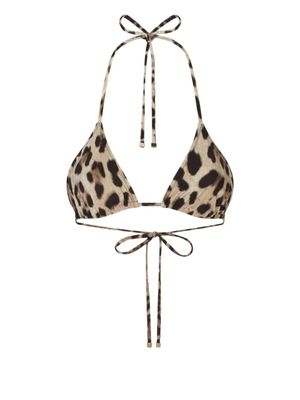 Dolce & Gabbana haut de bikini triangle à imprimé léopard - Tons neutres
