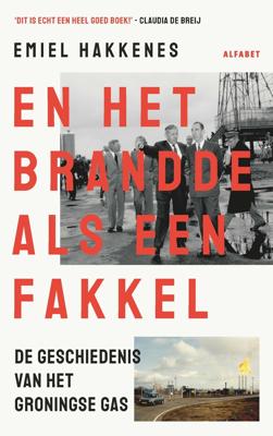 En het brandde als een fakkel (Paperback)