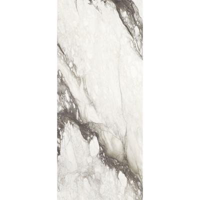 Douglas & Jones Vloertegel 120x280 cm Magnum Mat Renoir - Vloertegel 120x280 cm Magnum Mat Renoir (prijs Per Tegel)