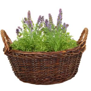 Mega Collections aardappelmand/plantenmand - Santa Fe - met handgreep - rotan - B35 x H15 cm
