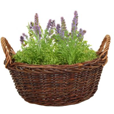 Mega Collections aardappelmand/plantenmand - Santa Fe - met handgreep - rotan - B35 x H15 cm