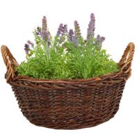 Mega Collections aardappelmand/plantenmand - Santa Fe - met handgreep - rotan - B35 x H15 cm
