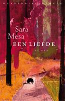 Een liefde - Sara Mesa - ebook
