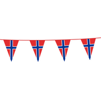 Vlaggenlijn Noorwegen (10m)