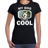 Siberische huskys honden t-shirt my dog is serious cool zwart voor dames - thumbnail