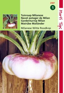 Rapen Milanese Platte Witte Roodkop - Hortitops