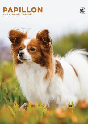 Papillon A3 Kalender 2026