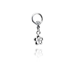 Jeweled Ball Closure Ring met bedel Chirurgisch staal 316L / Belegde messing Piercingringen