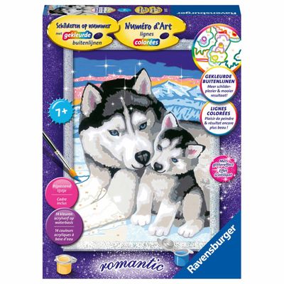 Huskies schilderen op nummer (289257)