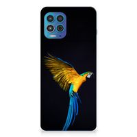 Motorola Moto G100 TPU Hoesje Papegaai