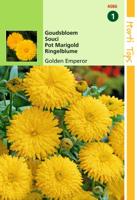 Calendula Officinalis Golden Emperor Goudgeel - Hortitops
