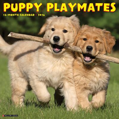 Puppies Kalender 2026