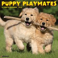 Puppies Kalender 2026