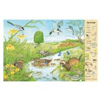 Deltas Kijk- en zoekboek - in het veld