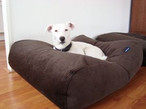 Dog's Companion® Hondenbed chocolade bruin ribcord small