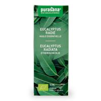 Purasana Eucalyptus radiata olie bio