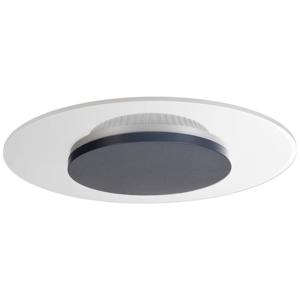 Deko Light Zaniah Plafondopbouwarmatuur LED vast ingebouwd 12 W Energielabel: F (A - G) Warmwit Wit