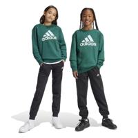 adidas Essentials Big Logo Fleece Joggingpak Kids Donkergroen Zwart Wit adidas Essentials Big Logo Fleece Joggingpak Kids Donkergroen Zwart Wit