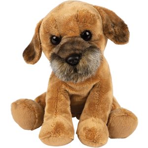 Pluche knuffel dieren Border Terrier hond 22 cm