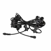 Lichtsnoer 50 meter 50 fittingen E27 Festoon Light professionele feestverlichting excl. power cable