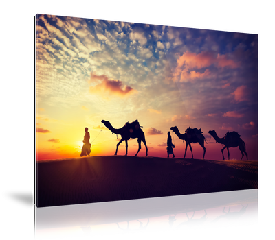 Foto op plexiglas Maxima HD 50x50