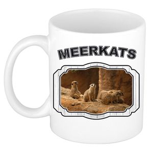 Dieren stokstaartje beker - meerkats/ stokstaartjes mok wit 300 ml     -