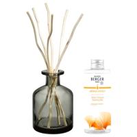 Maison Berger Geurstokjes Aroma Energy - Sparkling zest - 180ml Maison Berger Geurstokjes Aroma Energy - Sparkling zest - 180ml