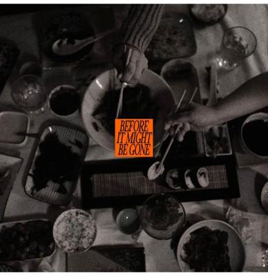 The Vices - Before It Might Be Gone: Deluxe (Groene Bladeren Vinyl) (Record Store Day 2026) 10" Vinyl