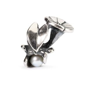 Trollbeads TAGBE-00035 Kraal Septemberwinde zilver