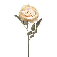Rose spray