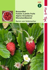 Aardbeien Baron Van Solemacher Rugen - Hortitops