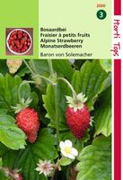 Aardbeien Baron Van Solemacher Rugen - Hortitops