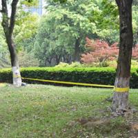 VidaXL Slackline 15 m x 50 mm 150 kg geel