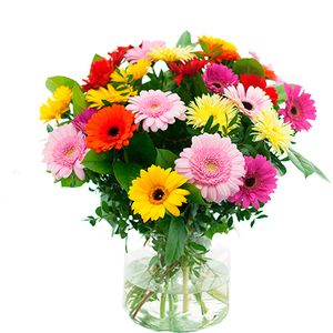 Boeket gemengde gerbera's