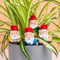 Bloempot kabouters (set van 4)