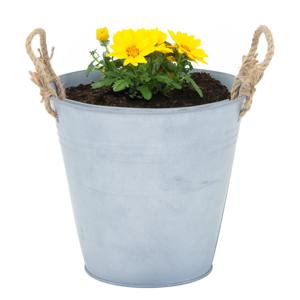 Plantenpot/bloempot emmer Old Rope - zink - zilver - D22 X H20 cm