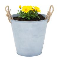 Plantenpot/bloempot emmer Old Rope - zink - zilver - D22 X H20 cm - thumbnail