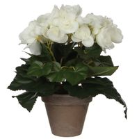 Witte Begonia kunstplant 25 cm in grijze pot - Kunstplanten - thumbnail
