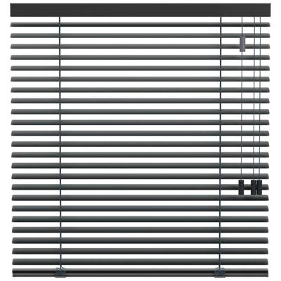 Leen Bakker - Fenstr Jaloezie 50mm Standaard Lak - Antraciet (20717) - Aluminium - Grijs - 120x10x10 Cm