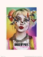Kunstdruk Birds of Prey Dazed and Confused 30x40cm