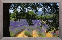 lijst ht lavendelveld 140x90cm Tuindoek - Customize it